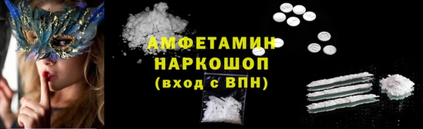СК Алексин