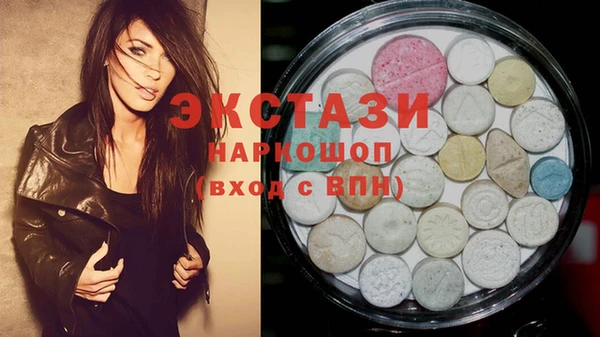 СК Алексин