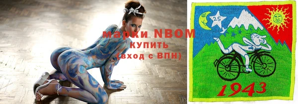 СК Алексин