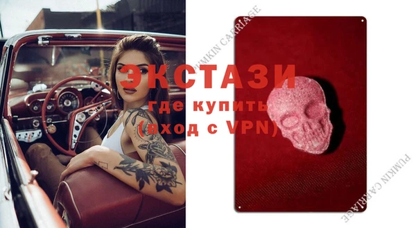 СК Алексин